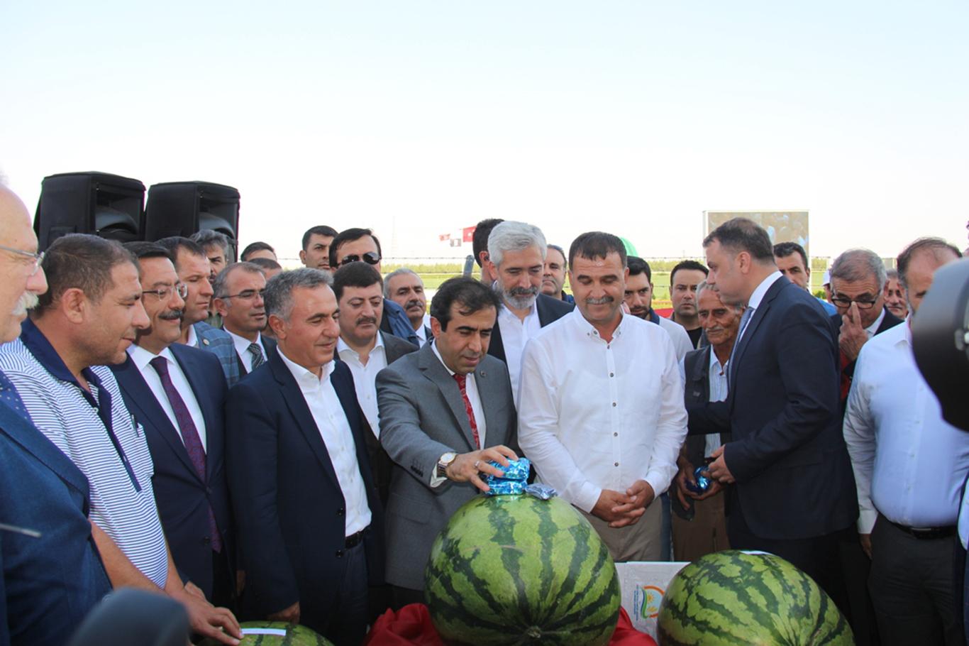 Diyarbakır’da "Kültür ve Karpuz" festivali düzenlendi Diyarbakır’da "Kültür ve Karpuz" festivali düzenlendi